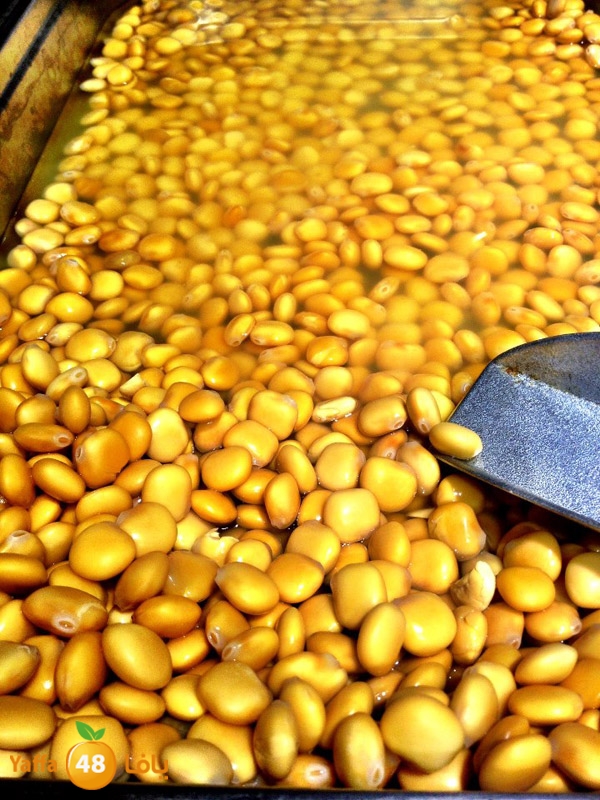 sookelmina2u5 (3).jpg